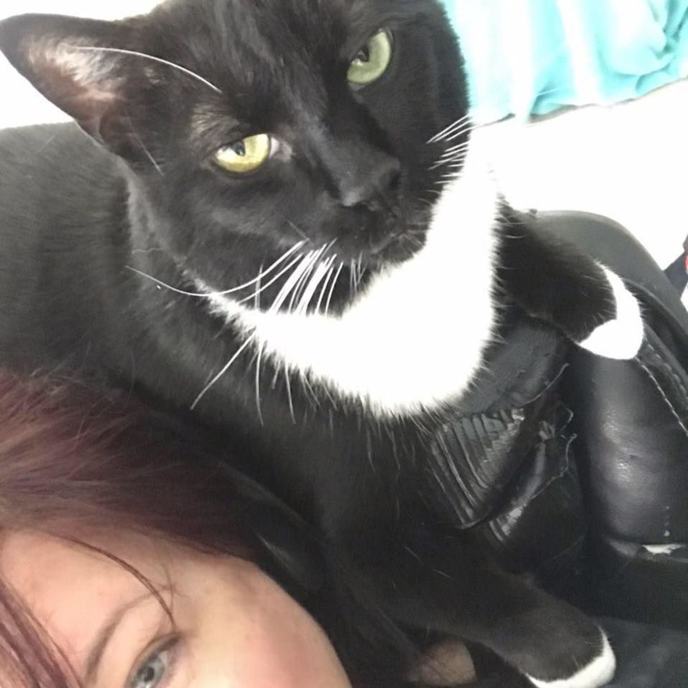 Meet your Posher, Katie